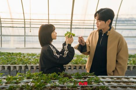 Park Bo Young's Journey Of Love And Identity Intertwines With Jinyoung And Ryu Kyung Soo In “Our Unwritten Seoul” 7