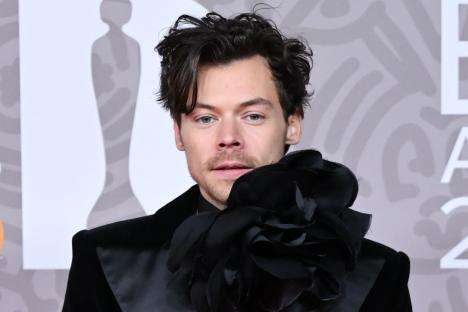 Harry Styles fans shocked as 1D star snaps pic of them on holiday in Rome – and DMs it to them months later