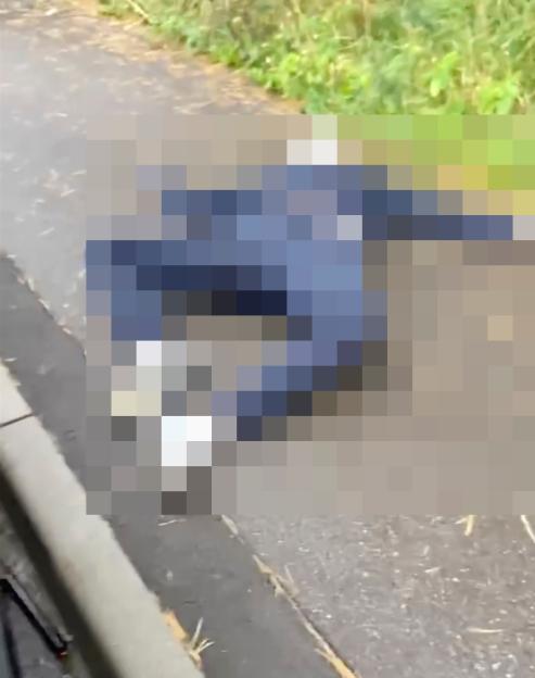 Pixelated image of a person lying on the ground next to a car with a rifle nearby.