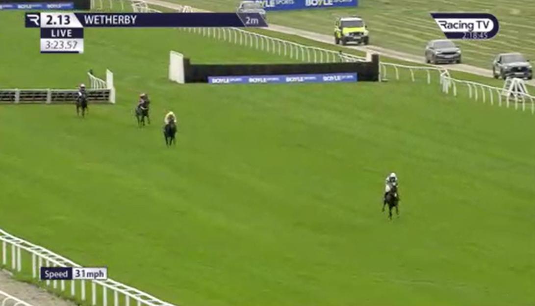 Heartbreak at Wetherby Races: Anaconda, a 1-100 Favorite, Suffers Fatal Injury While Leading by Miles at Final Hurdle
