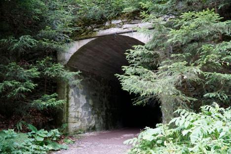 Entrance to a dark tunnel overgrown with vegetation.
