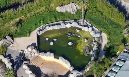 Aerial view of an abandoned marine park's algae-filled pool.