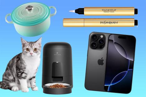 Collage of a Le Creuset pot, Yves Saint Laurent Touche Ã‰clat, an iPhone, a cat, and a Petlibro automatic pet feeder.