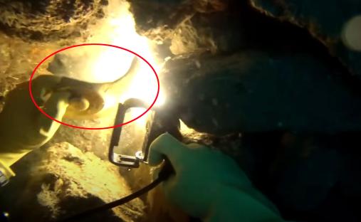 Diver examining a plate with the Cunard Steamship Company logo on a shipwreck.