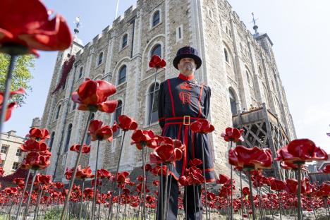 A Yeoman Warder standing among ceramic poppies at the Tower of London.
