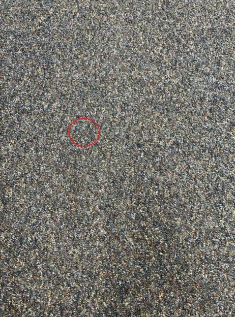 You have 'eyes of sniper' if you're able to spot hidden pencil lead within seconds, A new brainteaser has left people scratching their heads in confusion as it challenges you to find the pencil lead in a busy scene in just a few seconds - can you do it?