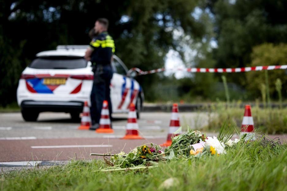 Cops don’t even know where migrant ‘murderer’ comes from amid fury over stabbing of tragic teen Lisa, 17, as knife found
