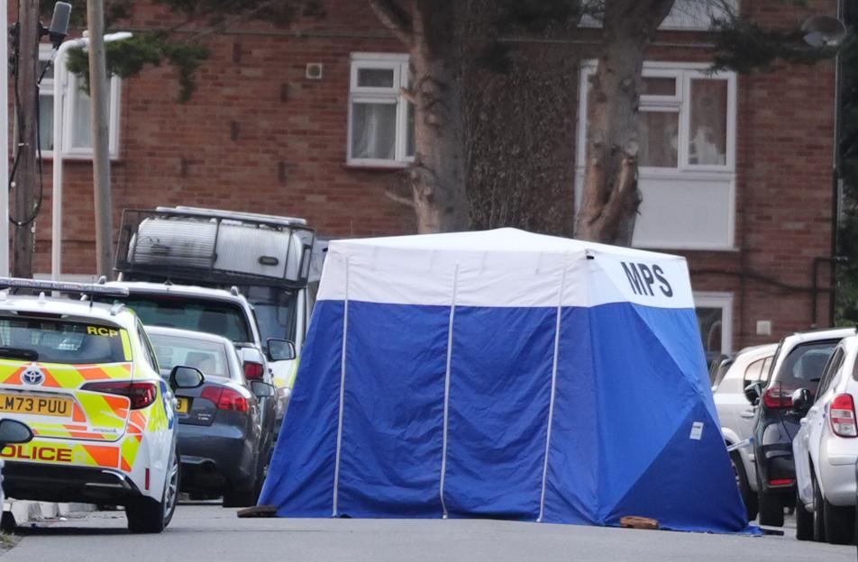 Lorry Driver Stabs Hero Dog Walker to Death During Psychotic Episode, Injuring Father and 13-Year-Old Son