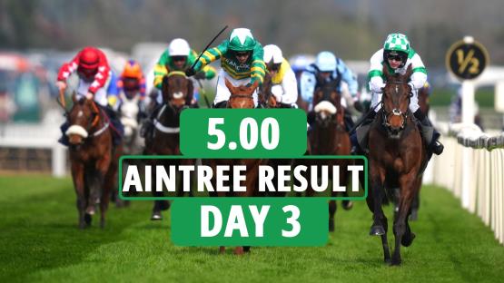 5.00 Aintree 2025 result – day 3: Who won Novices’ Chase? How every horse finished at Grand National Festival