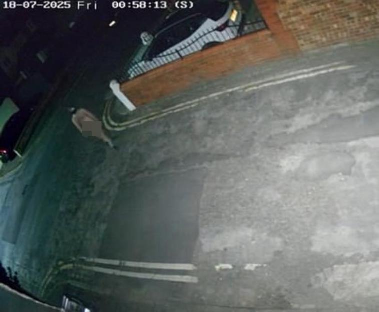 Security camera image of a person in a gimp mask walking down a street at night.