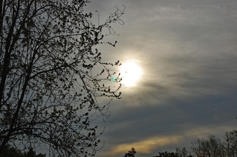 NiMet predicts sunshine, thunderstorms nationwide from Sunday