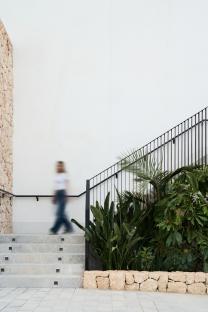 Person walking up stone stairs next to tropical plants.
