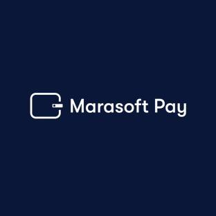 The Hidden Costs of Poor Payment Systems and How Marasoft Pay is set to offer a Solution 3