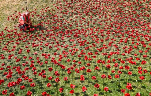 A volunteer planting ceramic poppies at the Tower of London.