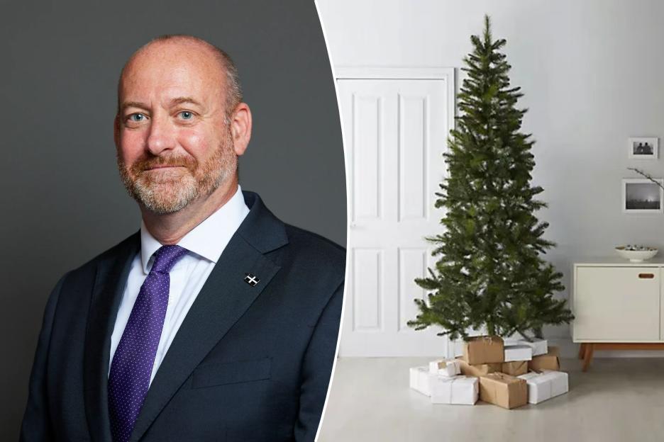 Labour MP used taxpayers’ cash to buy 7ft Christmas tree and pot plants