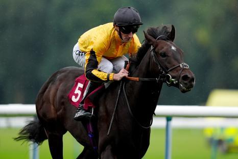 Jockey Daniel Tudhope riding Luther to win a horse race.