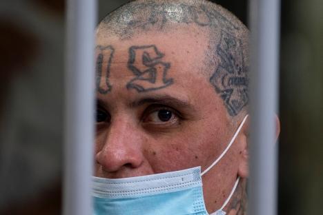 Inmate with MS-13 gang tattoos visible on his head, seen through cell bars.