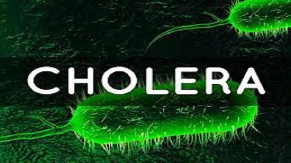 Cholera outbreak: Bauchi govt set up committee to tackle rising cases, deaths 