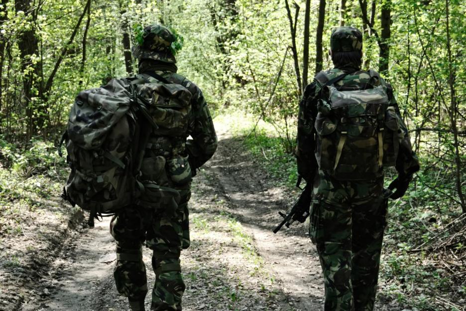 An image collage containing 1 images, Image 1 shows Two British soldiers in camouflage walk along a dirt path through a forest