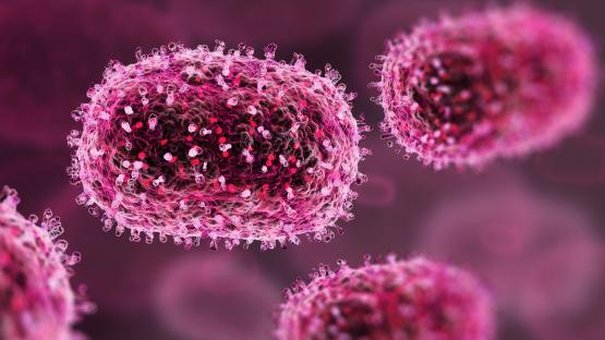 Fears new highly contagious mpox strain silently running rampant in UK after case with no travel history