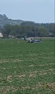 Airplane in a field.
