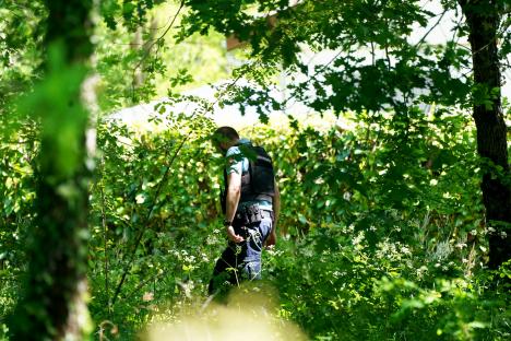 Police officer searching wooded area near a murder scene.