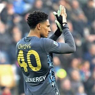 Serie A: Okoye wants Udinese to end losing streak