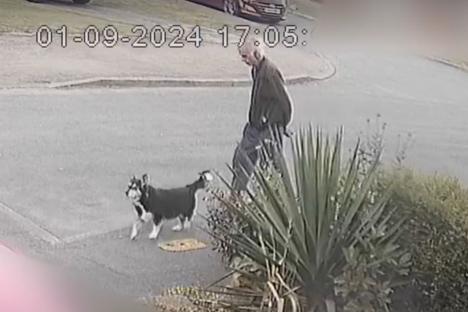Haunting moment grandad, 80, walks dog just seconds before he was beaten to death by teen killer in park