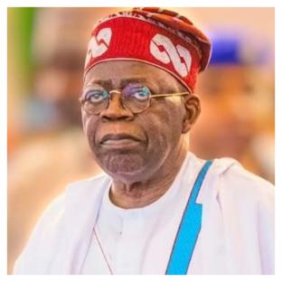 Tinubu not after one-party state – Presidency