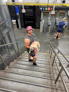 Man carrying a small dog down subway stairs.