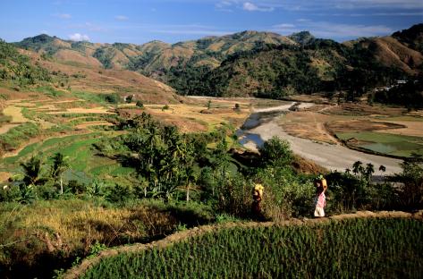 Two people carrying produce walk along a hillside overlooking rice paddies and a river valley in Sumba, Indonesia.