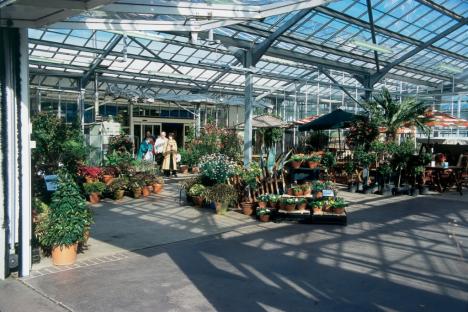 Interior of a large garden center with shoppers and many potted plants.