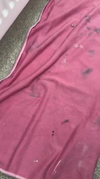 A dirty pink cloth with dark smudges, white residue, and a small metal object sitting on top of a gray carpet.