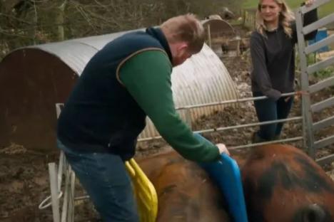Horrifying moment Clarkson’s Farm’s ‘psycho pig’ attacks Kaleb Cooper in dramatic scenes – leaving him with nasty injury
