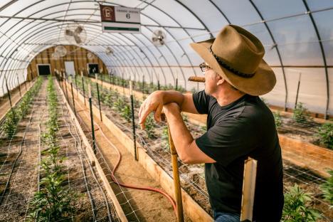 Jim Belushi is chasing the magic in cannabis