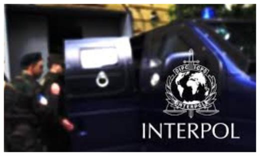 Stolen Canadian vehicles found in Nigeria – INTERPOL
