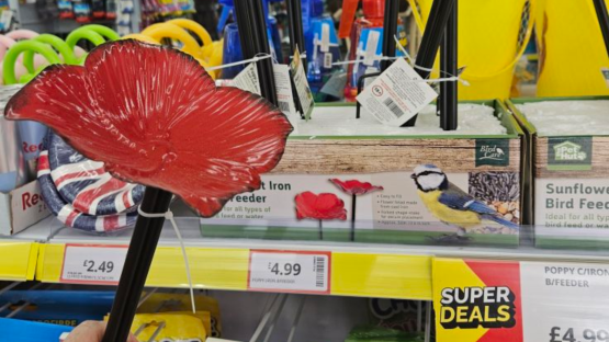 Shoppers run to Poundstretcher for ‘gorgeous’ £4.99 bird feeder that gives your garden an extra floral touch