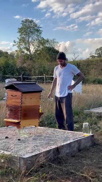 David Beckham collecting honey from a beehive.