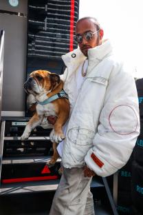 Lewis Hamilton carrying his bulldog, Roscoe.