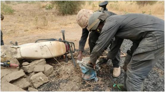 Troops kill 2 bandits, recover 22 rustled cows in Kaduna