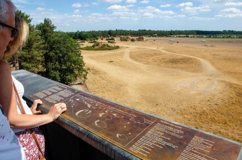 View from a viewing tower at the Sutton Hoo Anglo-Saxon burial grounds, showing a site map.