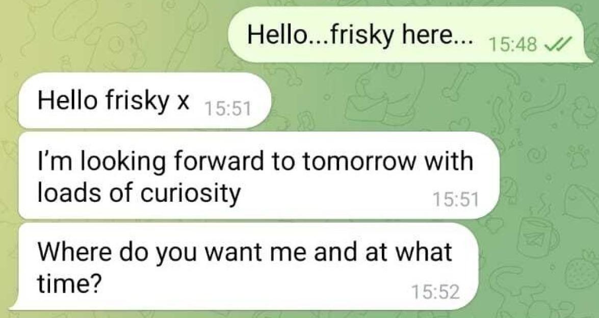 Screenshot of a flirtatious chat between two people on a dating app.