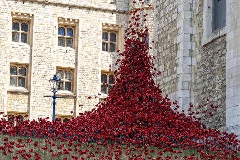 Poppies installation at the Tower of London.