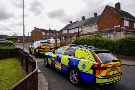 Toddler MAULED by dog in horror attack at birthday party
