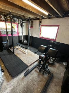Home gym with squat rack, bench, and back extension machine.