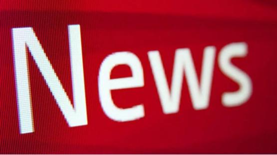Political Science Association worries about Nigeria’s drift towards one-party state