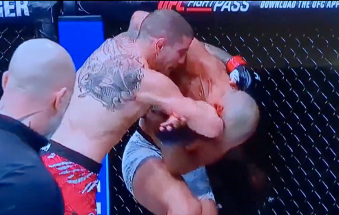 Screenshot of a mixed martial arts fight.