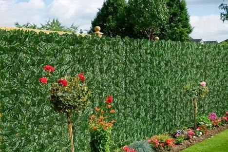 Cheap £7 hack will give you privacy this summer away from the gaze of your nosy neighbours