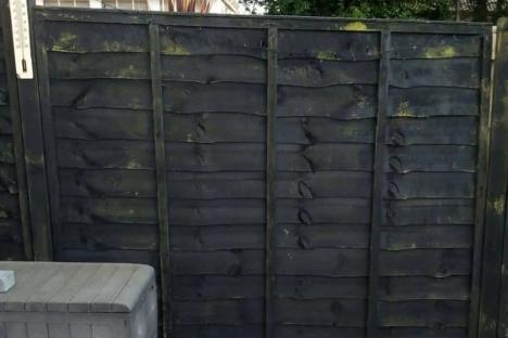 I was sick of painting my fence to get rid of green algae – £10 bathroom buy transformed it in seconds & took no effort