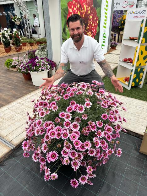 Man displaying a large pot of pink flowers.